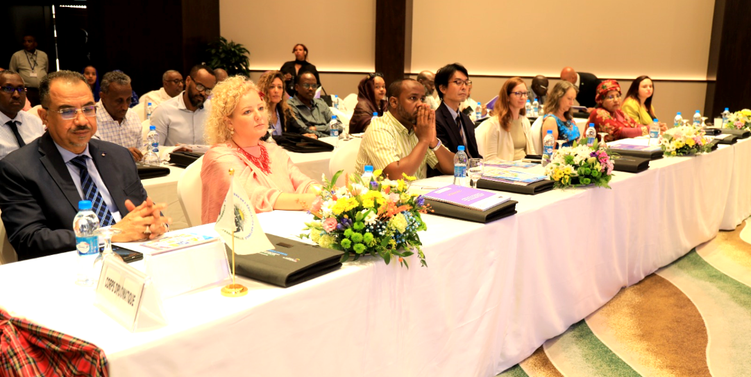 Curricula et supports didactiques et pédagogiques : L’expérience de Djibouti enfin prête à être exportée ?