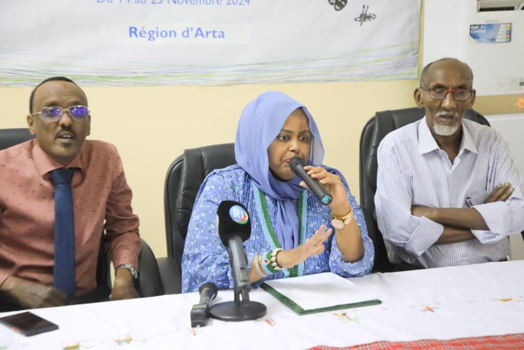 MJC : projet ASCHBERG"Atelier de renforcement des capacités pour les artistes et les professionnels de la culture à Arta"