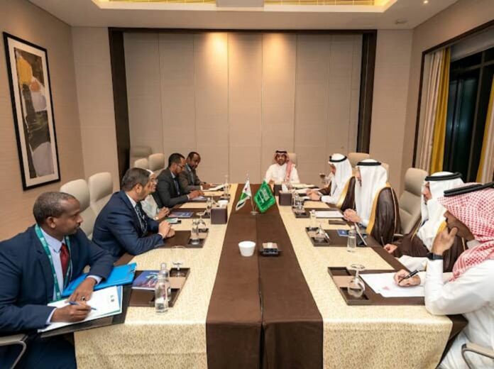 Signature de l'accord de protection et promotion des Investissements (3)