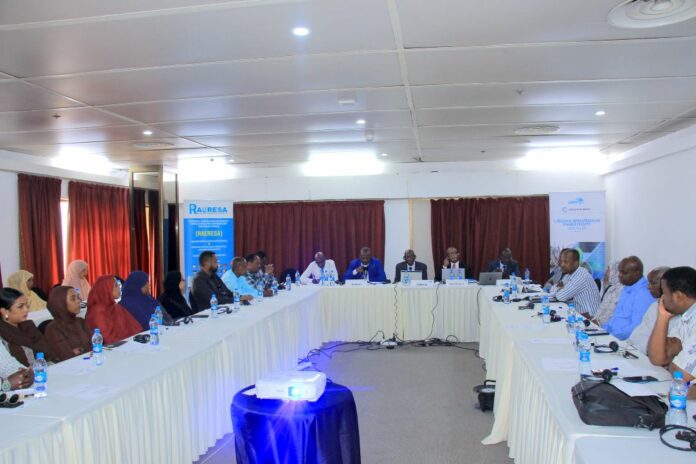 Atelier sur le renforcement de la réglementation énergétique à Djibouti (2)