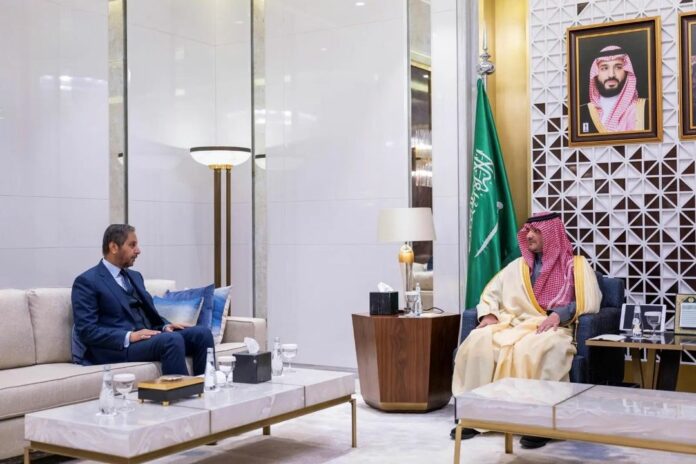 Djibouti Arabie Saoudite - Vers une coopération dans le domaine de la sécurité (2)