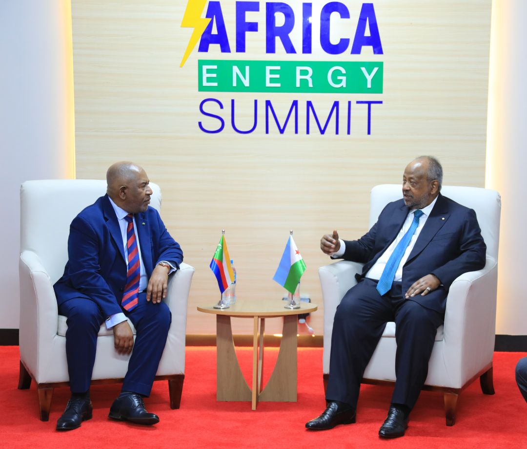 En marge du Sommet Mission 300 : Des rencontres bilatérales pour renforcer les liens de coopérations