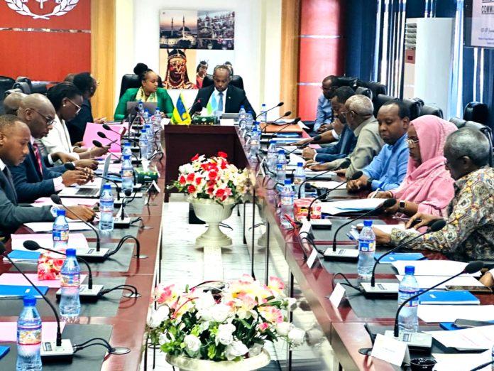 Djibouti Rwanda - Consolider un partenariat mutuellement avantageux (2)