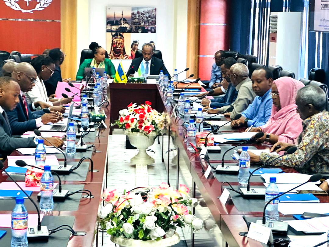 Djibouti /Rwanda - Consolider un partenariat mutuellement avantageux