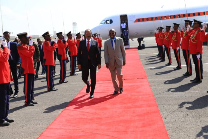 Le Président somalien entame une visite de travail à Djibouti (2)