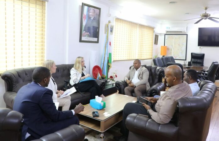 Le Ministre de l’énergie reçoit la nouvelle ambassadrice des Etats-Unis d’Amérique à Djibouti