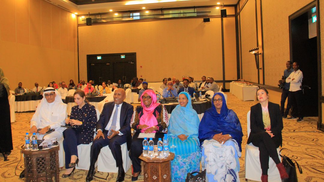 MDENI ; Analyser l’impact du numérique et évaluer les progrès de la digitalisation à Djibouti