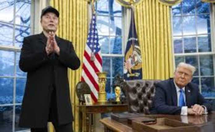 Musk & Trump (1)