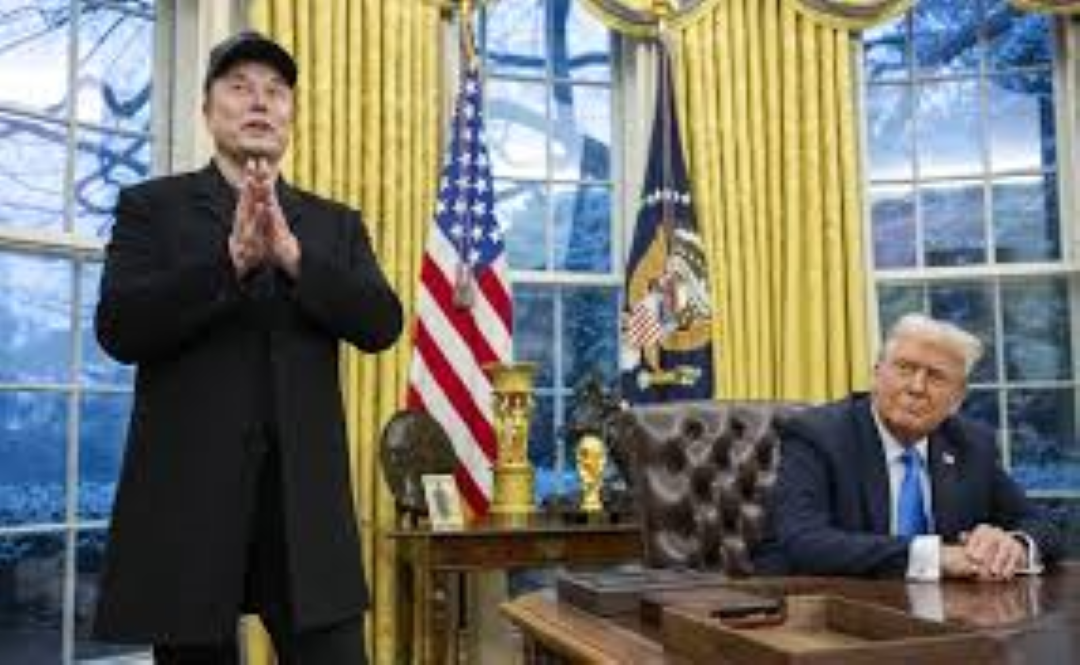 Musk &amp; Trump : Le grand carnaval du DOGE, une nouvelle approche de la gouvernance américaine ?