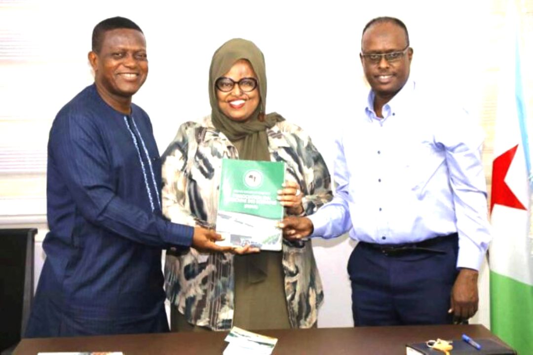 Djibouti : Une francophonie à la croisée des chemins…