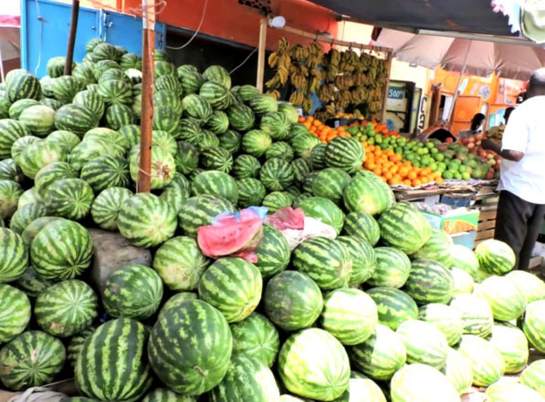 La Pastèque : Un fruit très en vogue chez les Djiboutiens