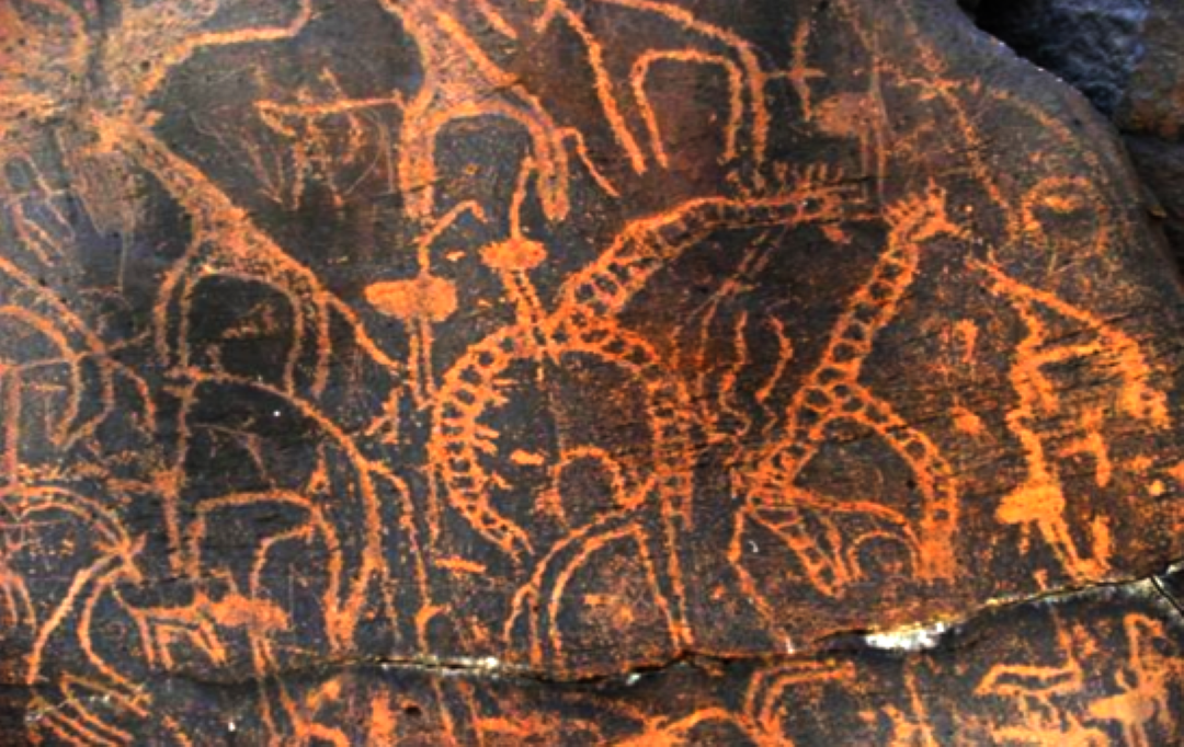 À la poursuite de notre passé lointain à travers le pays de Pount (16ème partie)