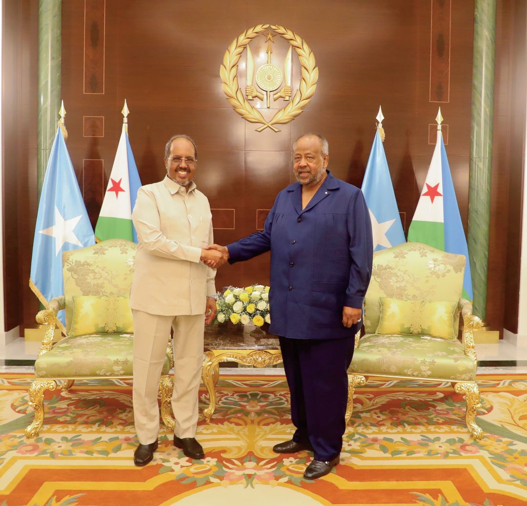 Entretien fructueux entre le Président Guelleh et son homologue somalien
