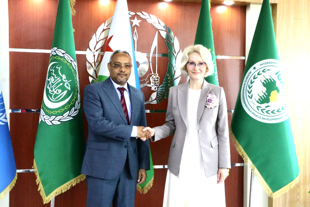 Rencontre entre S.E. Mme Viktoria Abramchenko et S.E.M. Abdoulkader Houssein Omar ministre des Affaires étrangères et de la coopération internationale