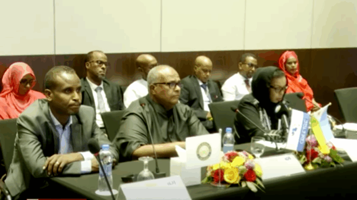 À Djibouti, un colloque d’envergure internationale scelle une nouvelle ère (1)