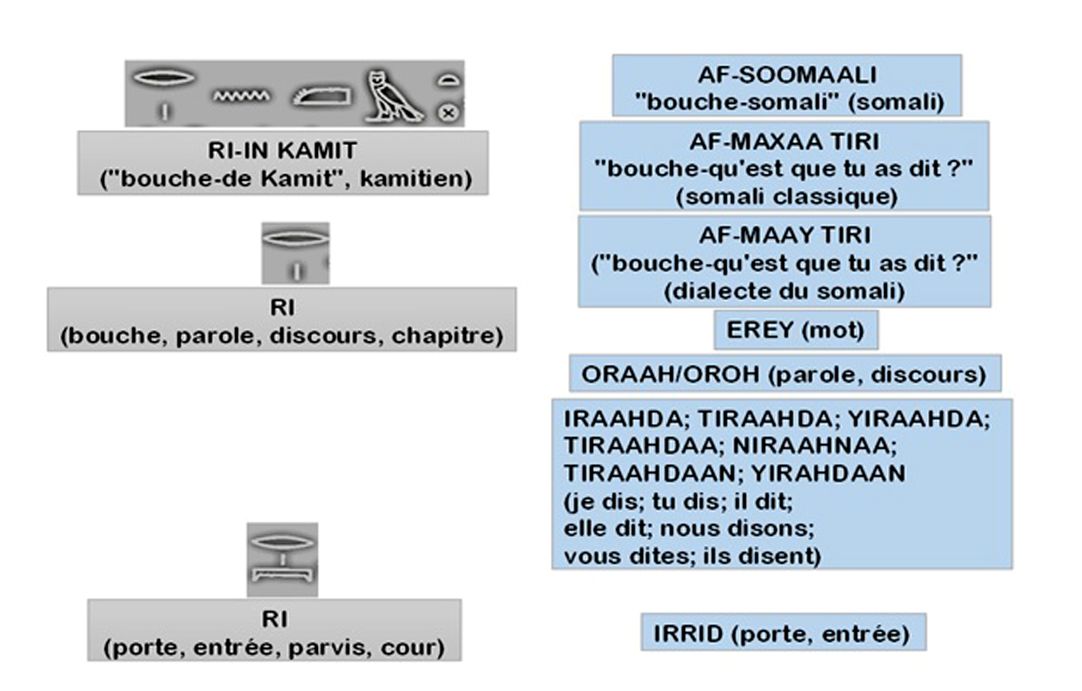 À la poursuite de notre passé lointain à travers le pays de Pount (18ème partie)