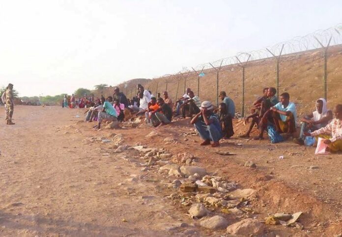Djibouti redéfinit sa politique migratoire (1)