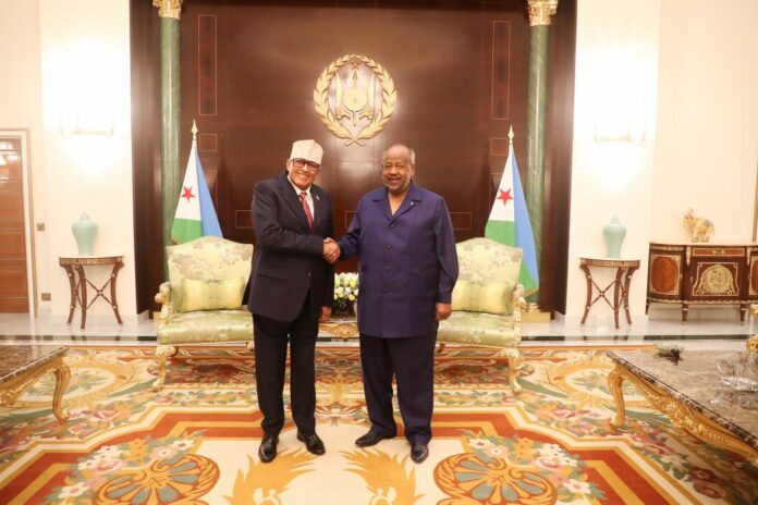 Entretien au sommet du Chef de l’Etat avec le Président du Somaliland (1)