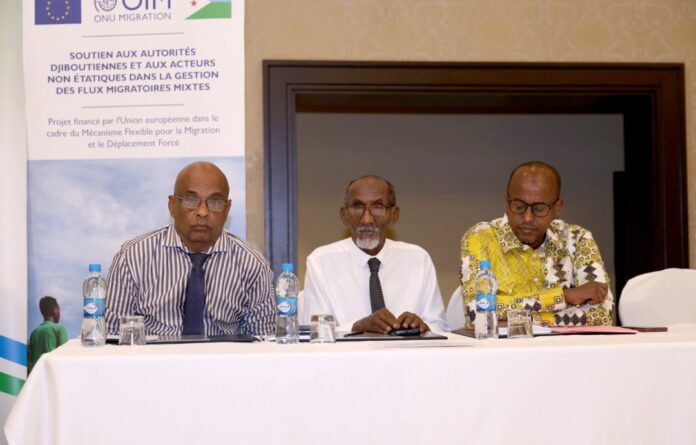 La diaspora djiboutienne au cur du développement territorial (2)