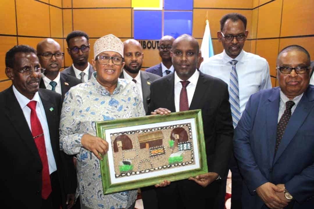 Le président du Somaliland en visite stratégique aux installations de câbles sous-marins de Haramous