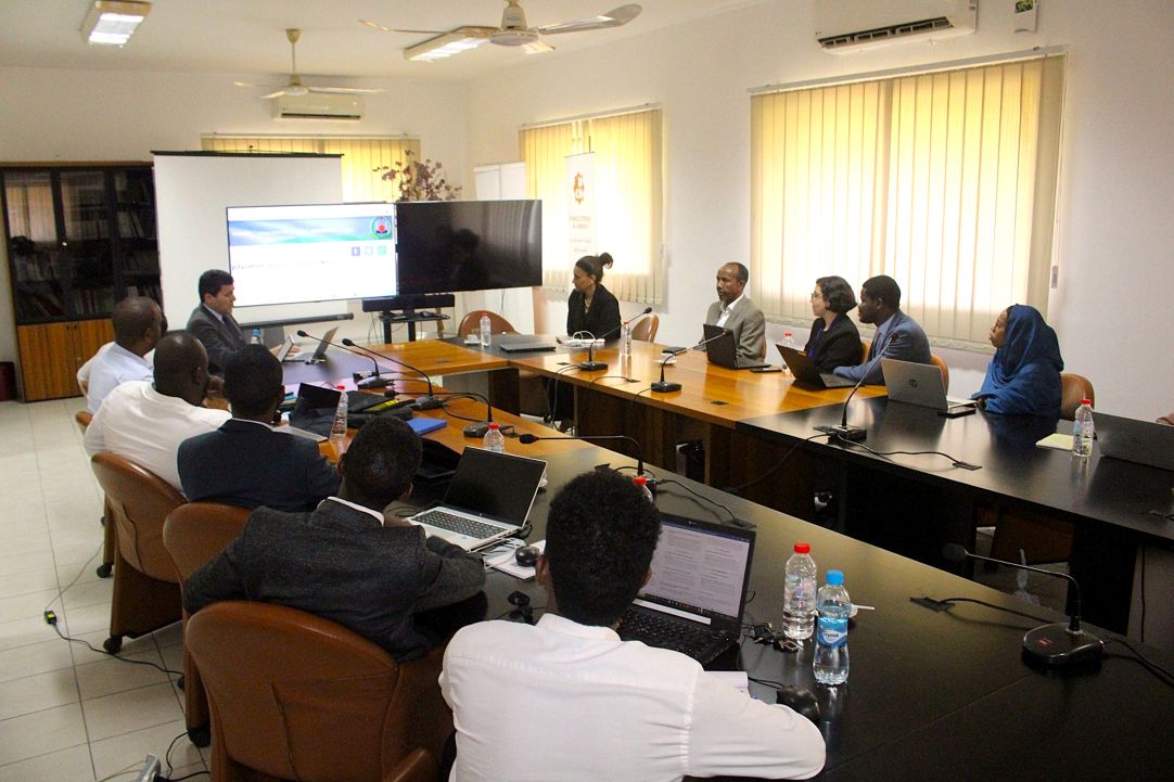 Système Général de Diffusion des Données amélioré (SGDD-a) : Djibouti lance sa Page Nationale Récapitulative des données