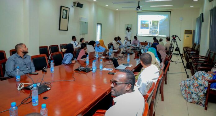 Former pour transformer l’administration djiboutienne (1)