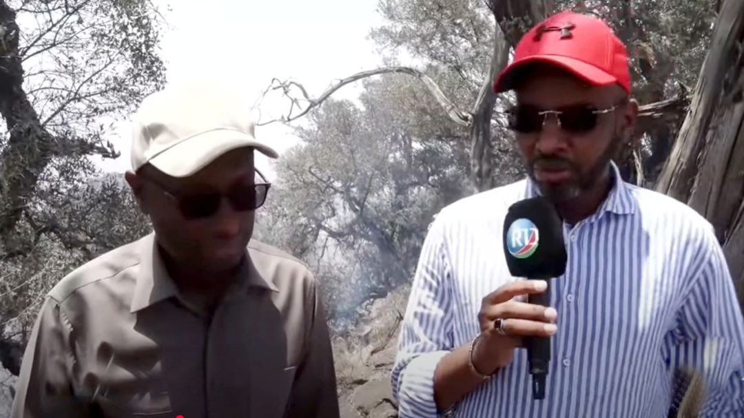 Incendie de la forêt de Day : Plus de 50 ha du parc national sont partis en fumé