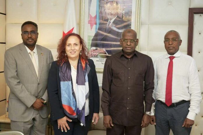 Premier ministre reçoit la représentante de lOrganisation mondiale de la Santé à Djibouti