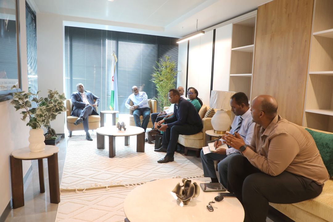 Une forte délégation de la Banque Africaine de Développement (BAD) reçue en audience par le Ministre de l’Energie, chargé des Ressources Naturelles