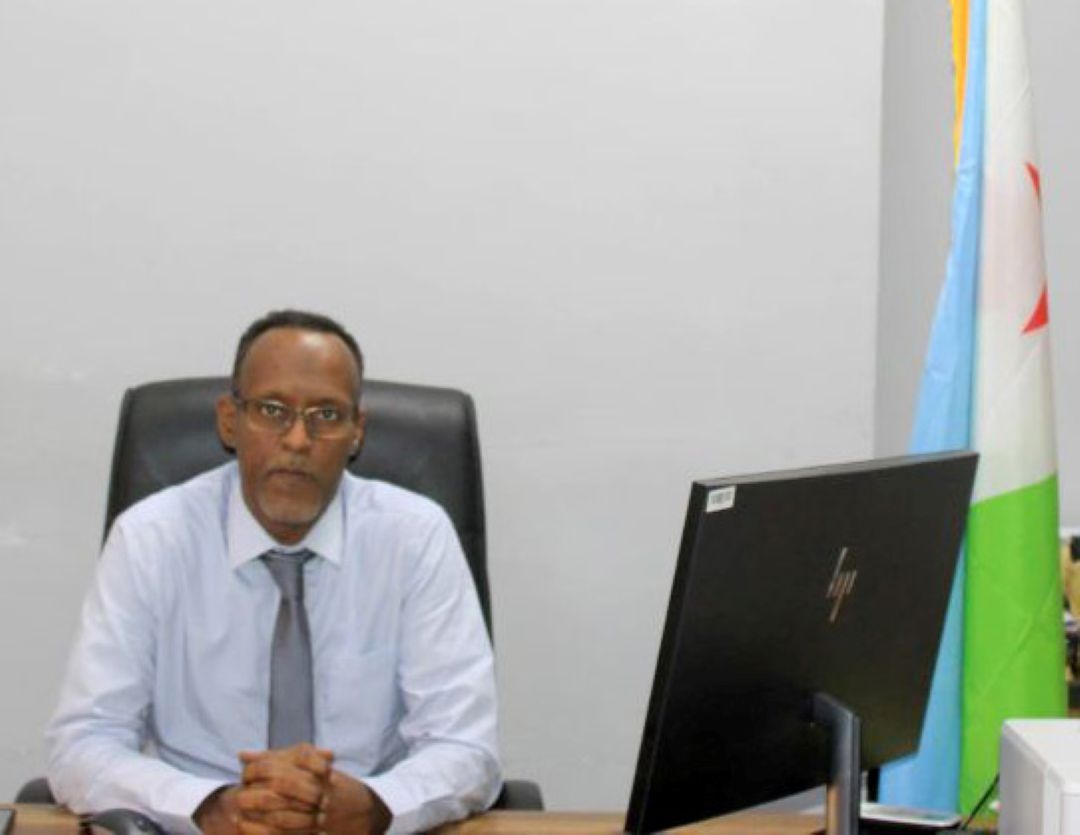 Entretien avec le Dr Ibrahim Abdi Hadi, directeur général de l’Institut de la Statistique de Djibouti (INSTAD)