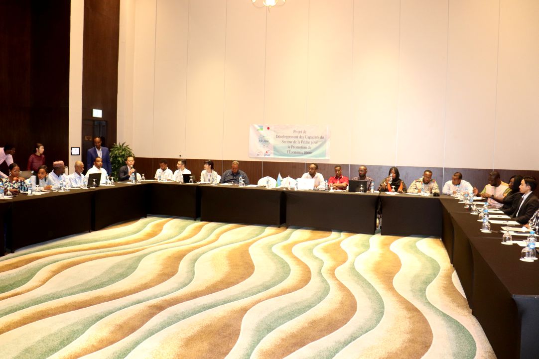 Lancement officiel du Comité conjoint de coordination du projet Pro-Blue à Djibouti