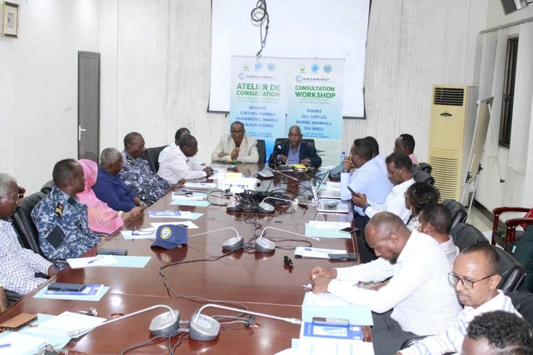 MEDD/PERSGA : Vers l’élaboration du tout premier Plan d’Action National pour la Conservation des Espèces Marines de Djibouti