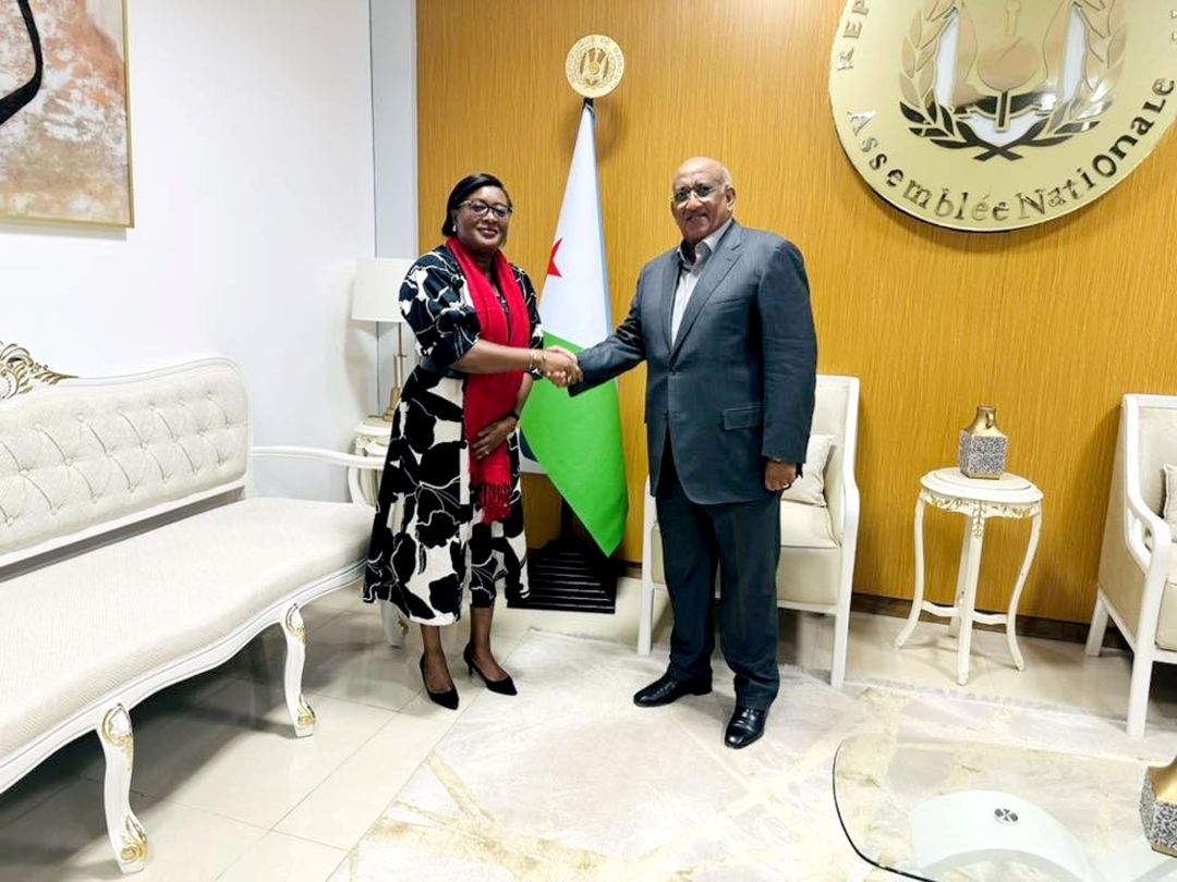 Visite d’adieu de la Représentante résidente du PNUD à l’Assemblée nationale