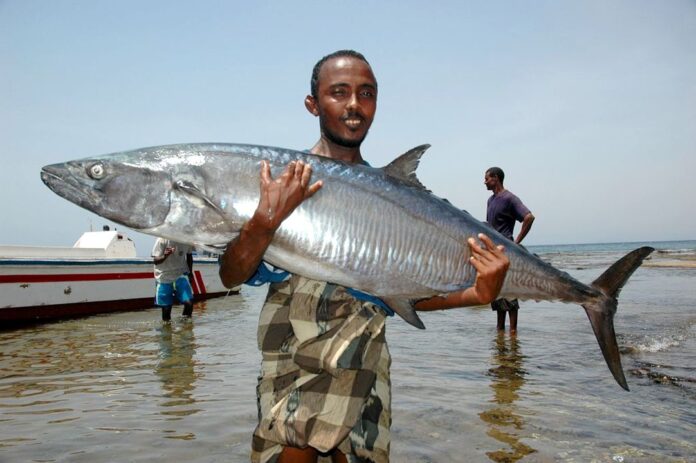 peche a djibouti