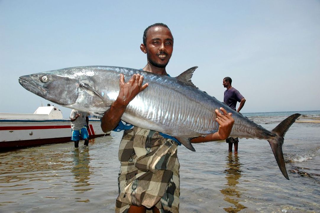 Reportage : Au cœur de la pêche artisanale à Djibouti