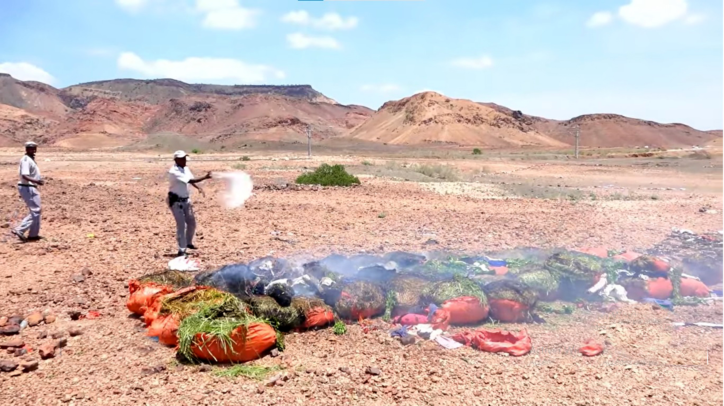 Ali Sabieh : 4 tonnes de khat saisies et détruites par la douane