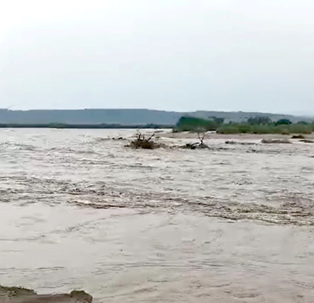 Après une longue sécheresse, les régions de Dikhil et de Tadjourah accueillent enfin des pluies salvatrices