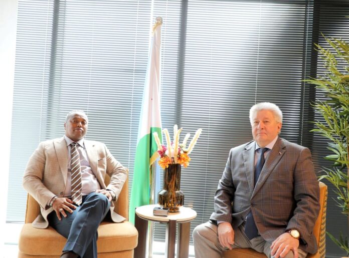Djibouti et la Russie renforcent leur coopération énergétique et minière (2)