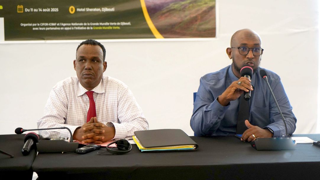 Djibouti renforce son engagement pour la Grande Muraille Verte