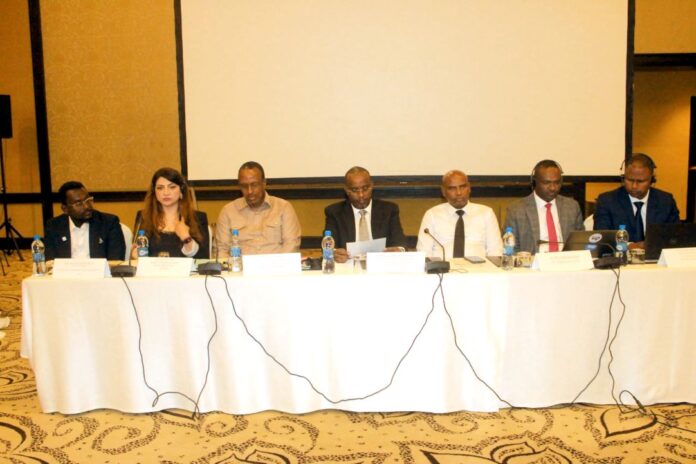 Djibouti s’aligne sur l’initiative mondiale d’alerte précoce de l’ONU (1)