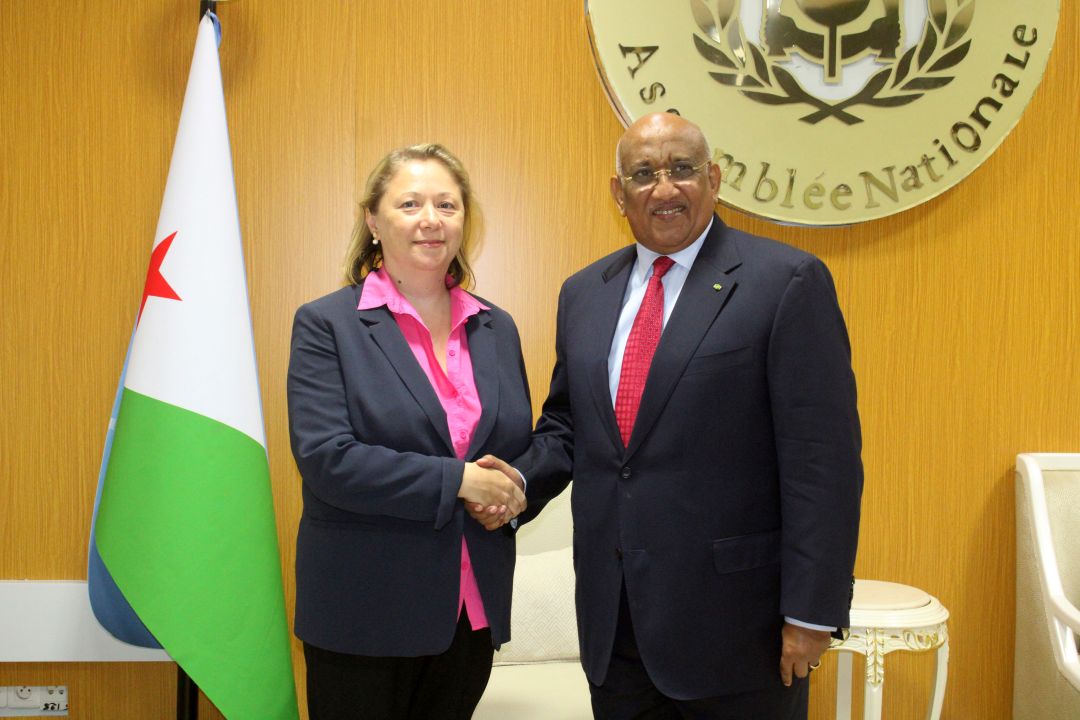 Le Président de l’Assemblée nationale salue la mission de l’ambassadrice Purcarescu sous nos cieux