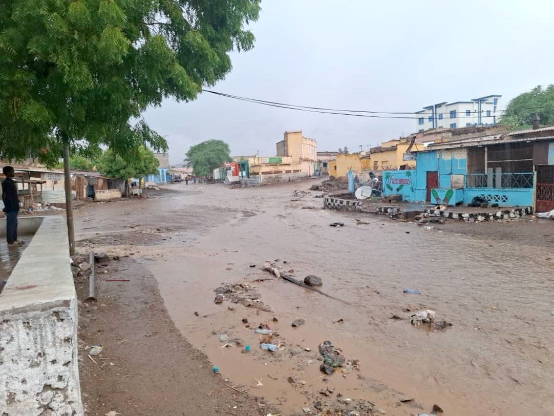 Ali-Sabieh : Les pluies du “Karane” changent le visage de la région