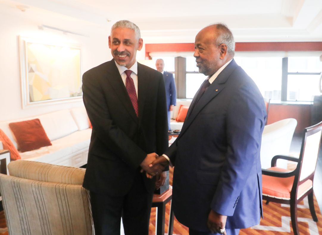 En marge de la 80ème session de l’Assemblée générale des Nations Unies : Le Chef de l’Etat reçoit le président de la BAD