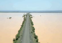 La plaine de Xooxa : havre de vie et symbole de résilience dans la région de Tadjourah