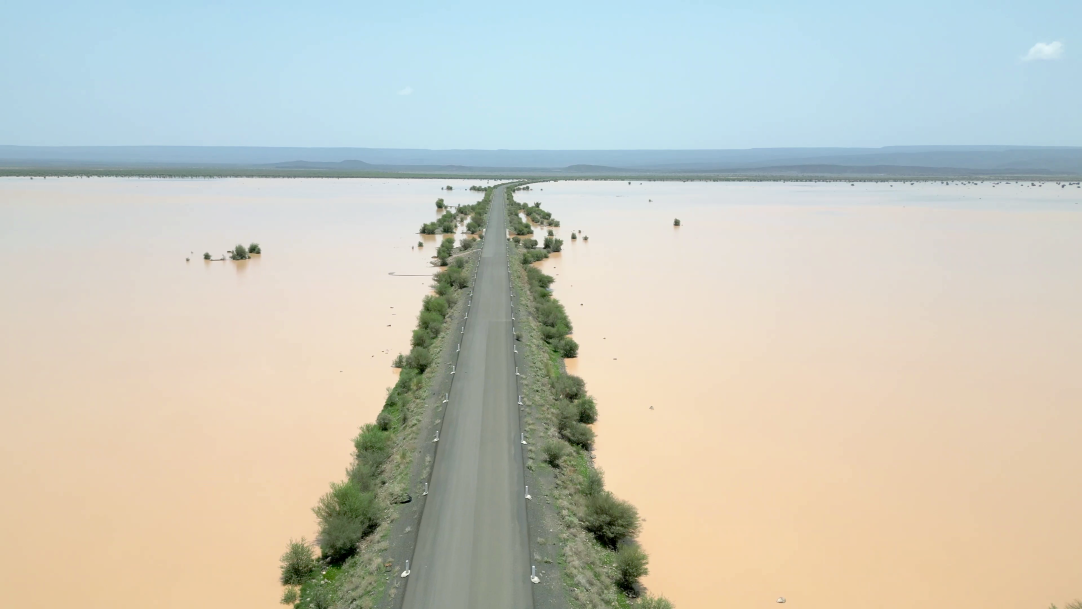 La plaine de Xooxa : havre de vie et symbole de résilience dans la région de Tadjourah