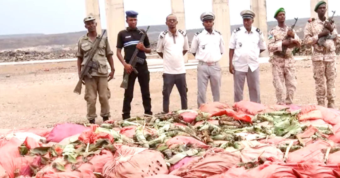 Tadjourah : La Douane saisit plus de 7 tonnes de Khat illégal