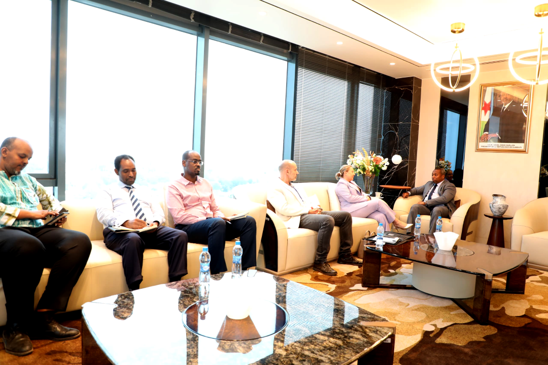 Djibouti et le PNUD renforcent leur partenariat pour accélérer la transition énergétique