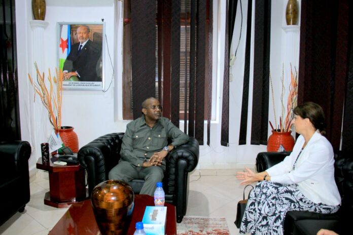 recoi de ministre de communication (1)