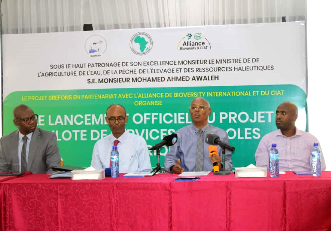 Djibouti mise sur le numérique pour transformer son agriculture