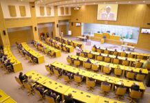 Révision de la Constitution : Djibouti face à un moment décisif